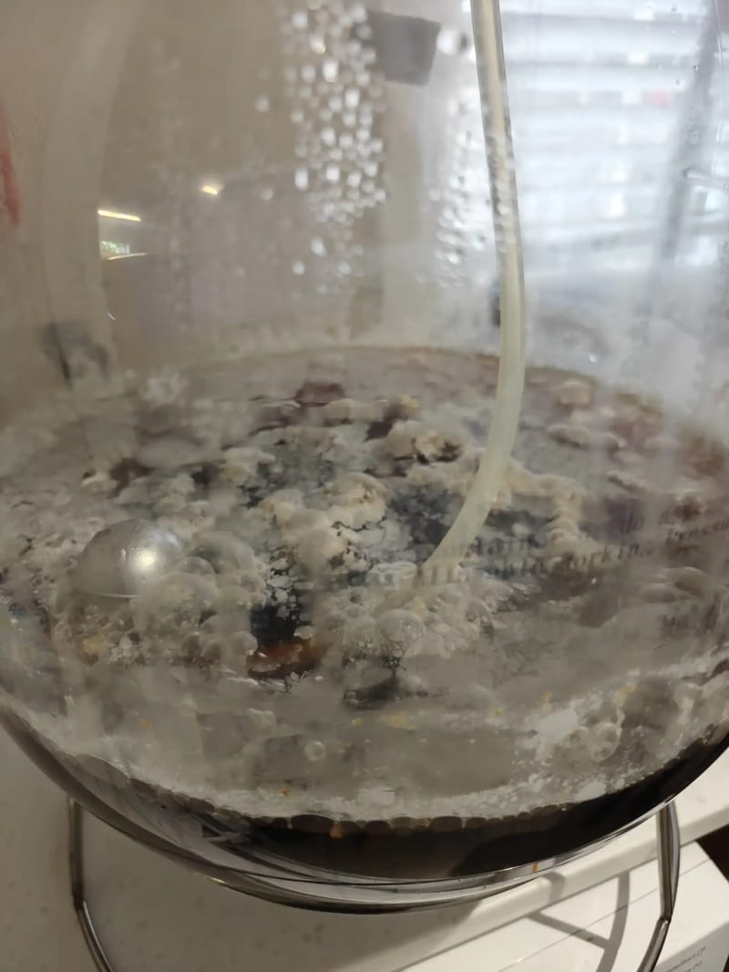 Looking into the reserve all-rounder, dark red beer under a patchy white pellicle, the floating dip tube's ball and line resting on the surface